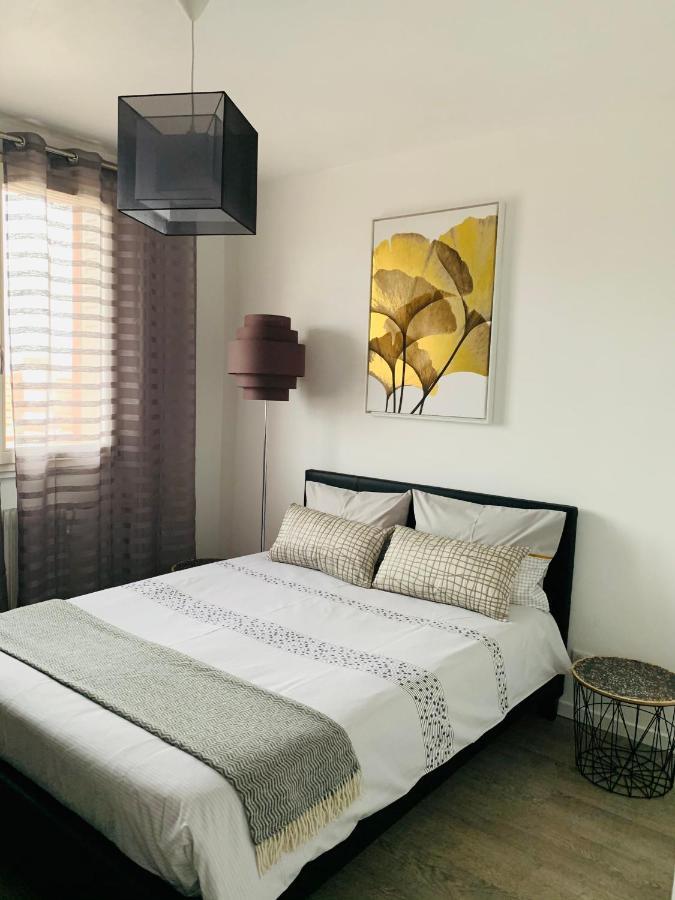 St Louis Appartement Roanne Ngoại thất bức ảnh